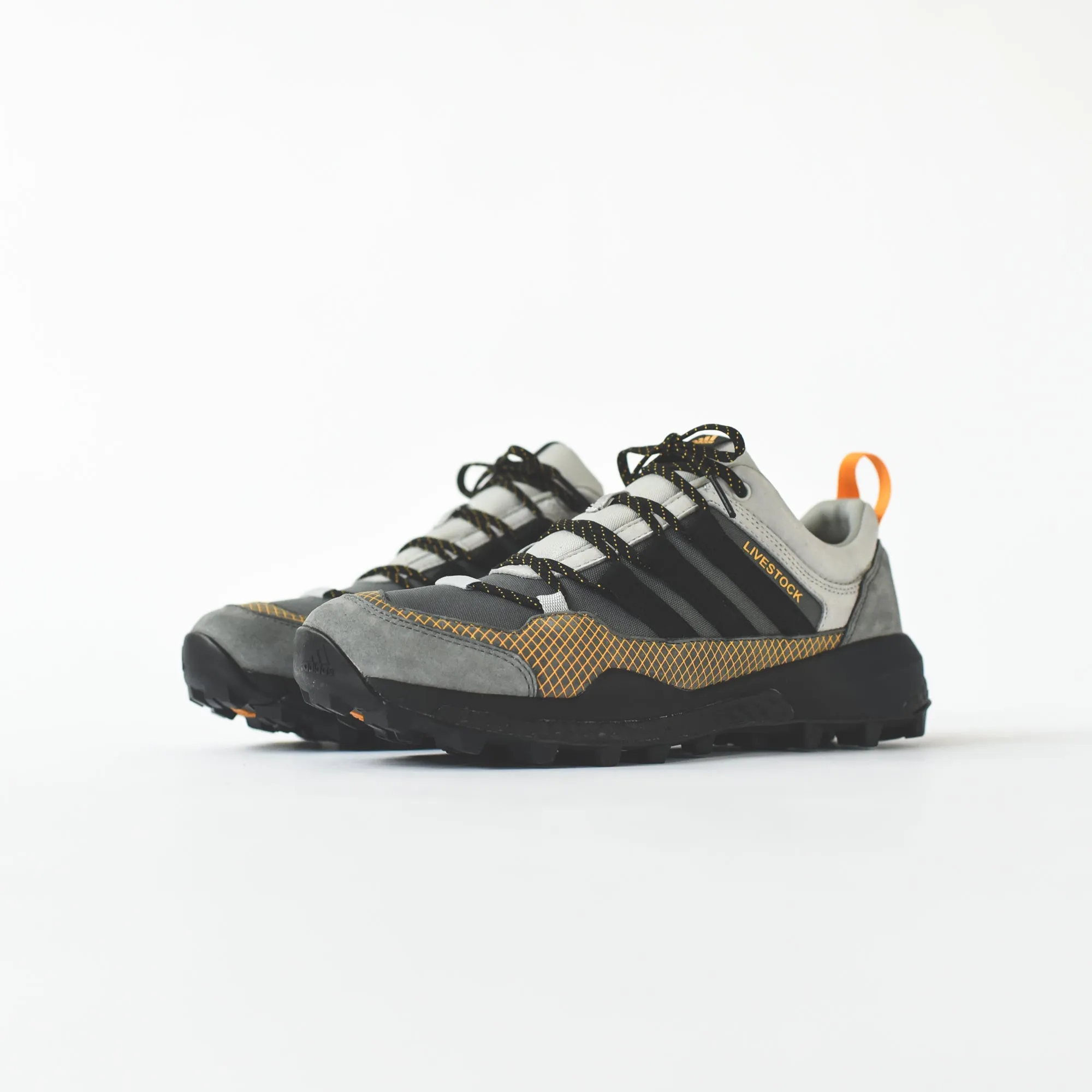 adidas Consortium x Livestock Terrex Skychaser - Grey